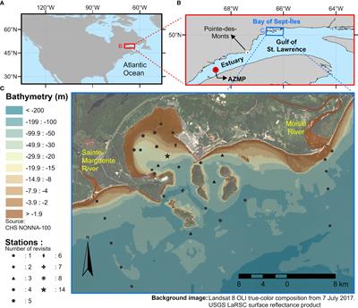 Environmental niches and seasonal succession of phytoplankton assemblages in a subarctic coastal bay: Applications to remote sensing estimates